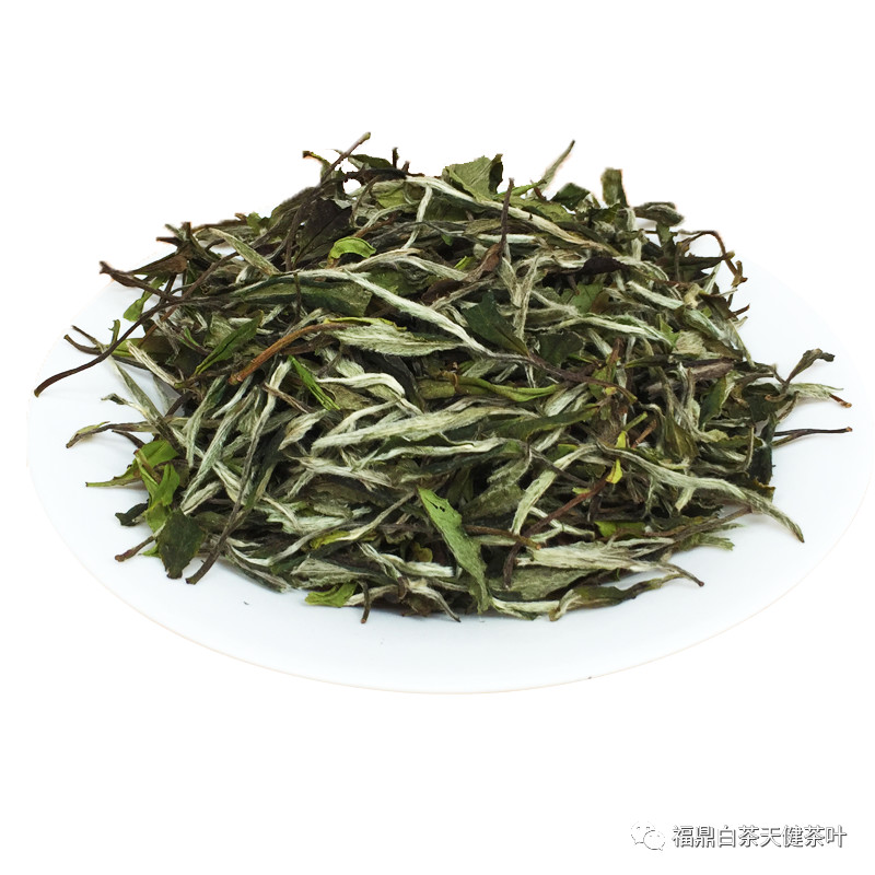 老白茶标志性化合物丨收藏福鼎白茶的基石