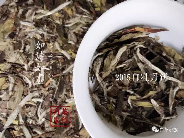 要问老白茶是何物？一款可以喝的古董！