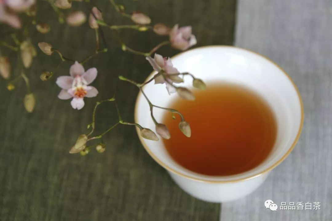 冬天，老白茶怎样为你打好“保胃战”？
