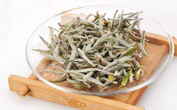 明前白茶白牡丹茶茶叶文化