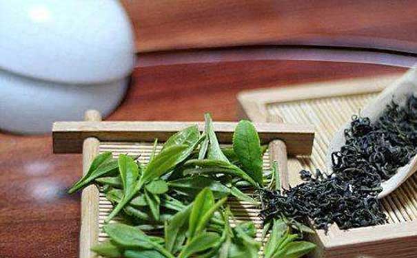 绿茶的功效与禁忌黄山毛峰食疗作用