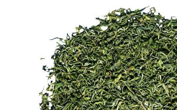 绿茶什么样的好六安瓜片历史传说