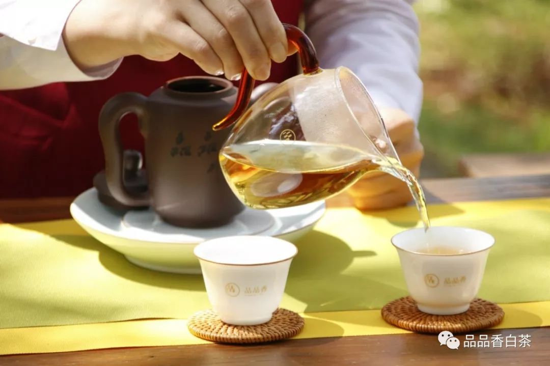 为什么老白茶每一泡的滋味都不同？