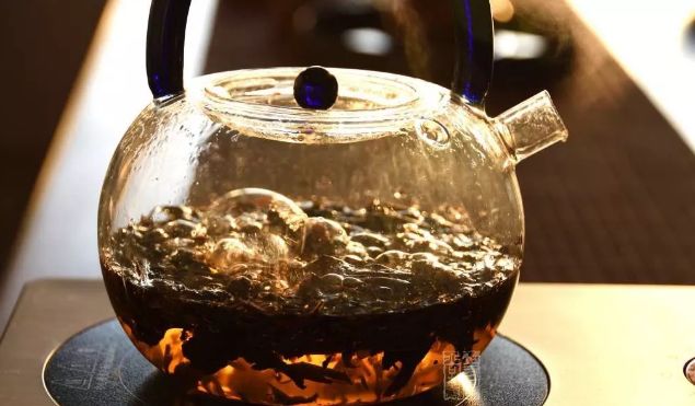 煮老白茶，是用冷水煮还是用热水煮？