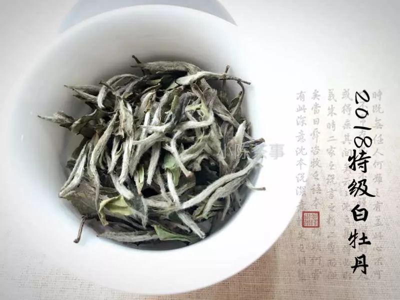 无论新白茶还是老白茶，芽，梗，叶兼备形态好口感佳的是哪一种？