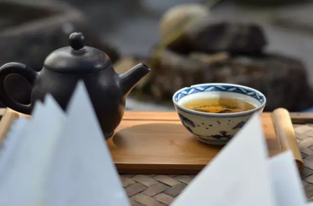 如何区分老白茶与新白茶?