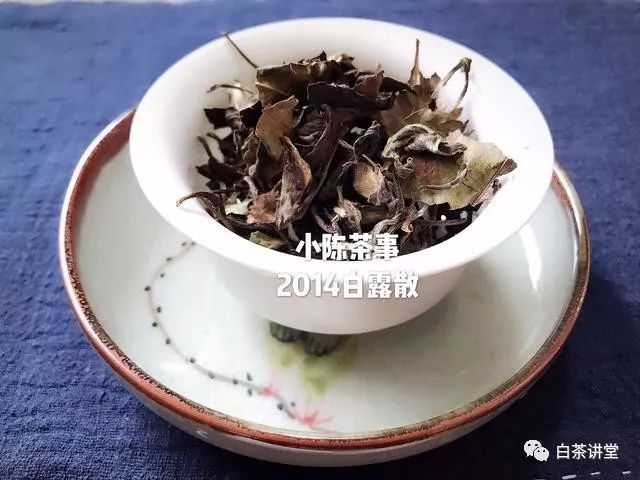 透过叶底来鉴别老白茶的品质，请认真留心白茶外观、香气、弹性！