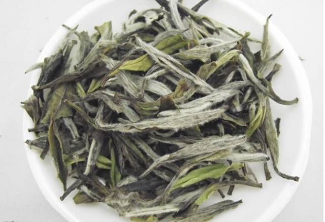 白牡丹茶汤中的氨基酸含量远超其它五种茶