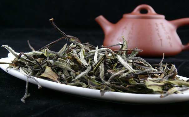 白茶的历史白茶历史沿革