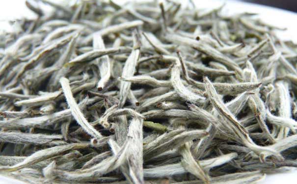 白茶推荐白茶主要品种