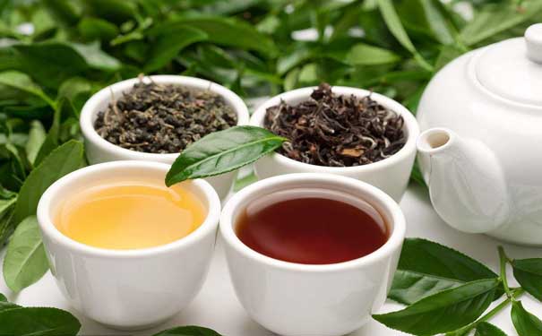 乌龙茶代表乌龙茶产区分布