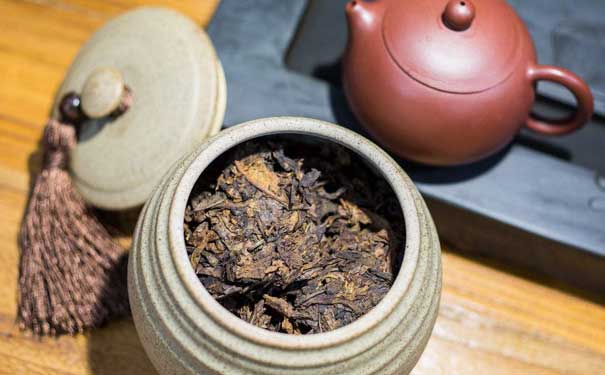 普尔茶怎么喝普洱茶制法