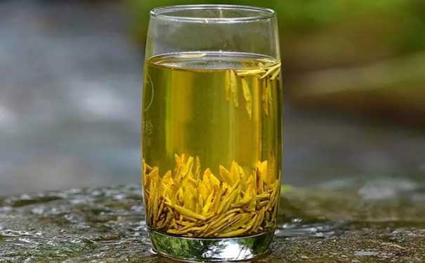 黄茶的品种黄茶分类
