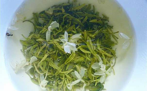花茶的种类珠兰花茶介绍