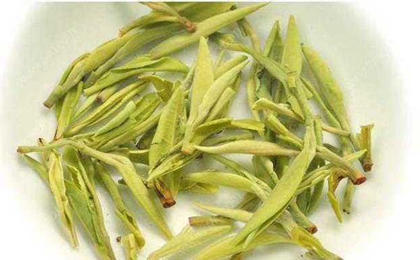 黄茶品种广东大叶青品质特征