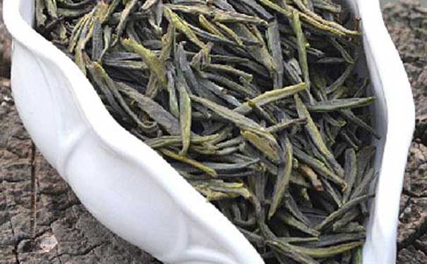 黄茶品种鹿苑毛尖主要品种