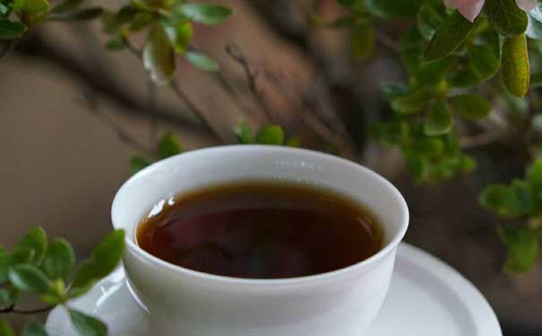黑茶哪里的最好四川边茶自然地理