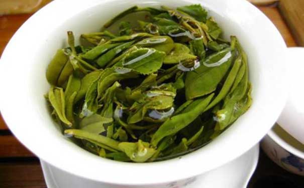 那些茶叶是绿茶崂山绿茶栽培技术