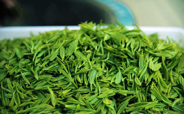 绿茶的介绍建德苞茶茶叶文化、专用标志