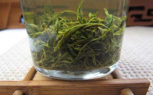 绿茶的产地建德苞茶栽培管理