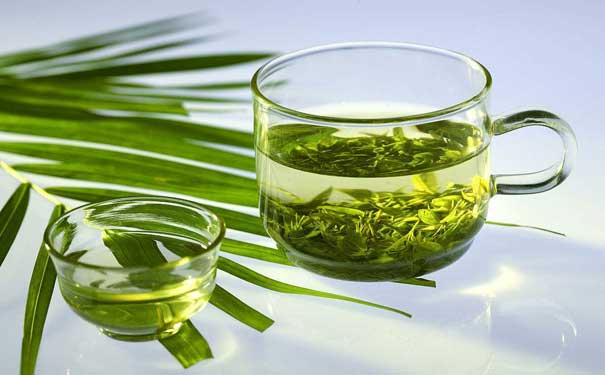 嫩绿茶创始人绿春玛玉茶产地分布及采摘标准