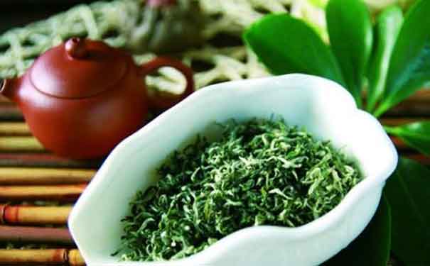 哪种绿茶最好绿春玛玉茶品质特征