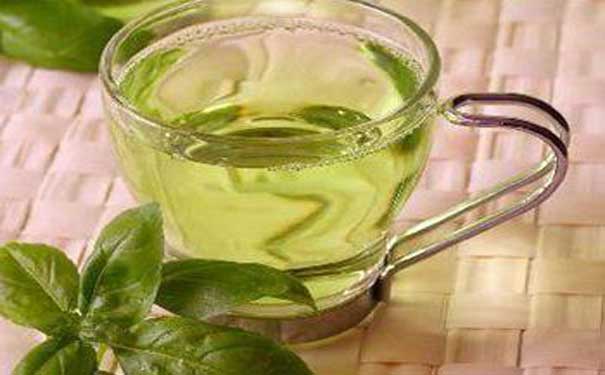 绿茶的营养价值麻姑茶保健功能