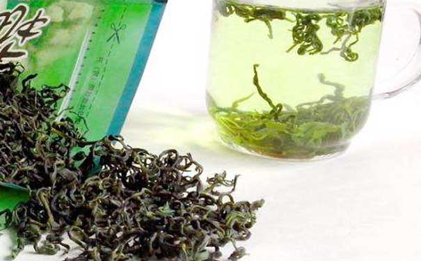 绿茶标准麻姑茶生长环境与分部区域