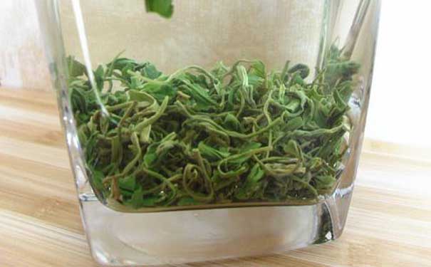 购买绿茶天山绿茶储存方法