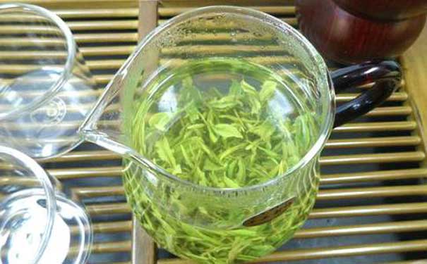 香草兰绿茶仙人掌茶茶叶文化