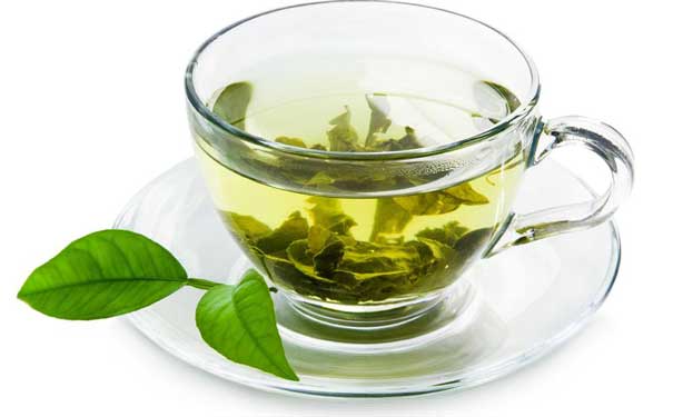 绿茶的产地仙人掌茶加工工序