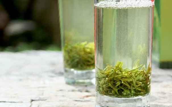绿茶茶叶可以吃吗仙人掌茶食疗作用