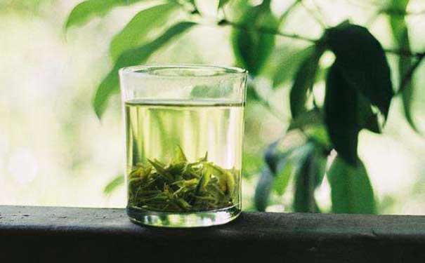 茶叶绿茶雨花茶栽培技术