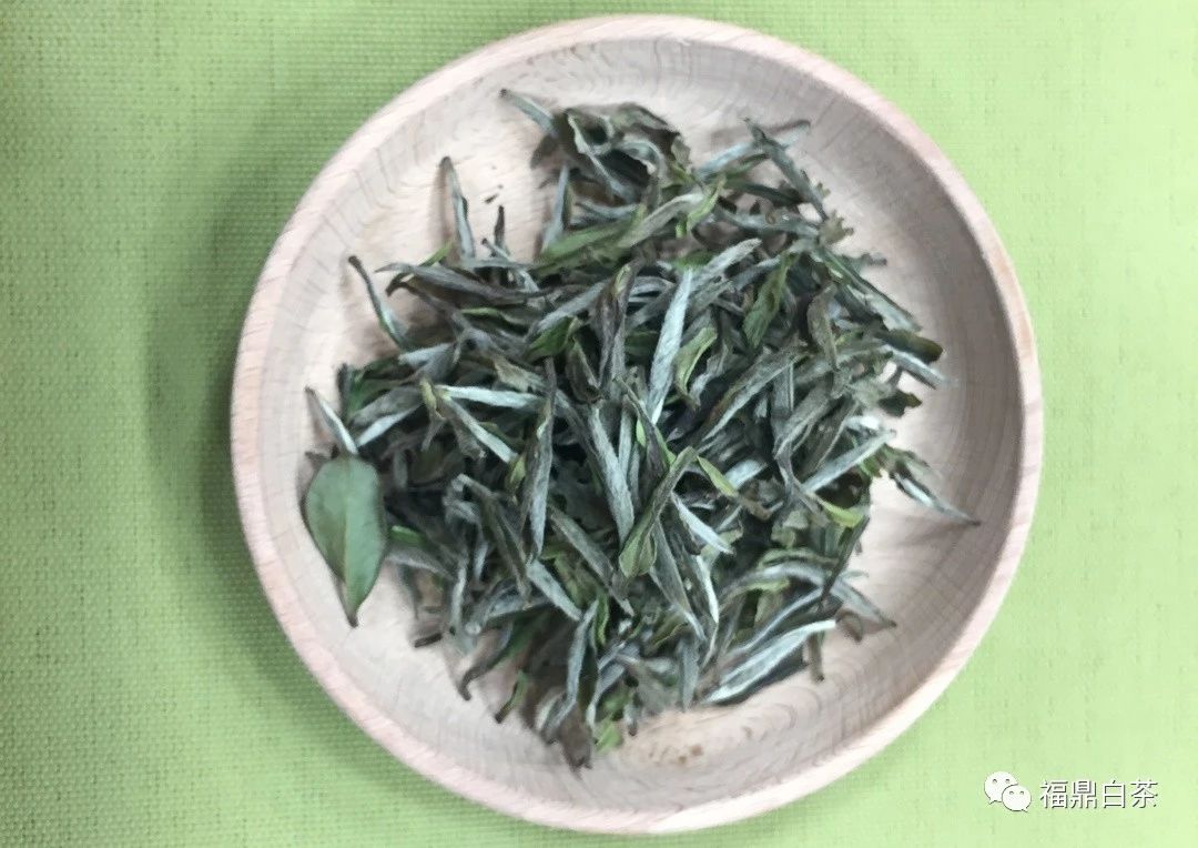 福鼎官方实锤:白牡丹茶汤中的氨基酸含量远超其它5种茶
