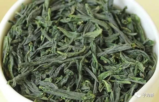 郭子涵·学茶：初识六安瓜片-扁片形特种绿茶