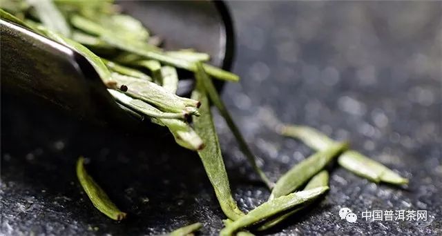 竹叶青属于什么茶？丨百科