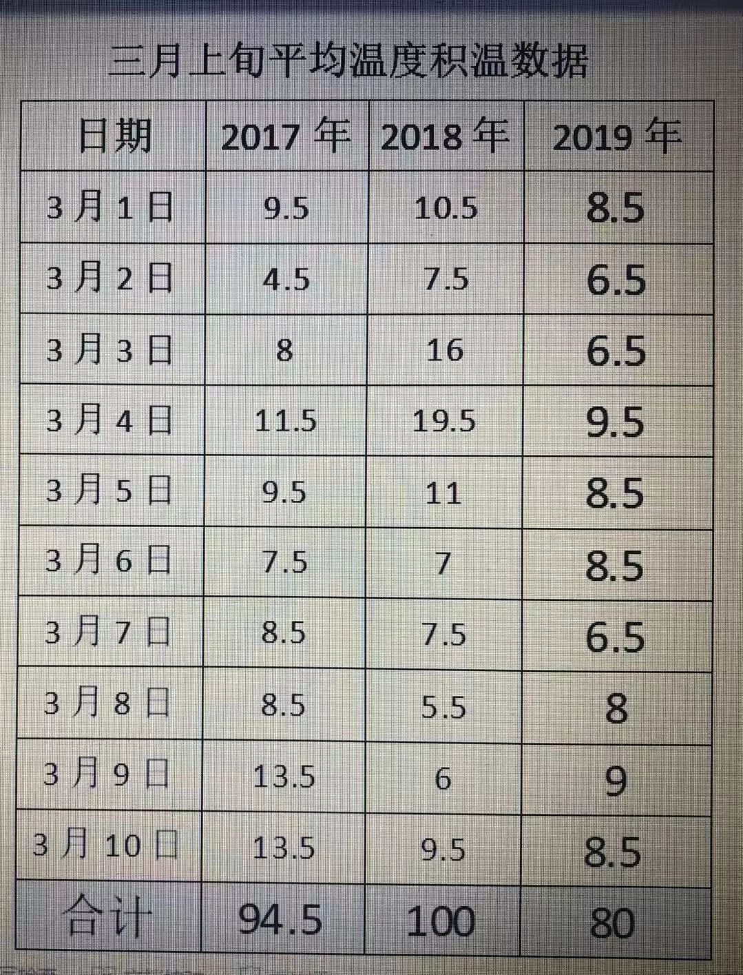 2019年安吉白茶开采前记录（3月2日）