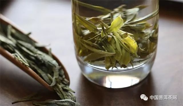 安吉白茶的外形特征有哪几种？