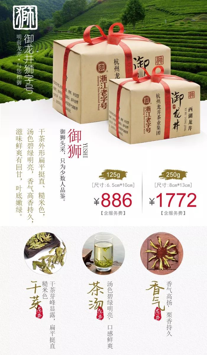 御牌西湖龙井明前茶发售｜龙井“老茶蓬”了解一下！
