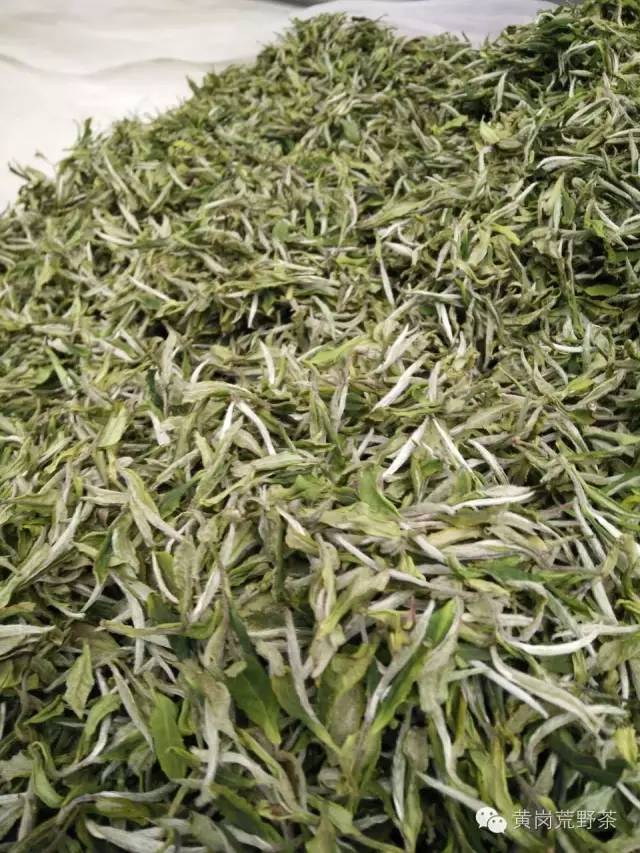 堆积才是白茶生产整个工艺流程的重中之重！