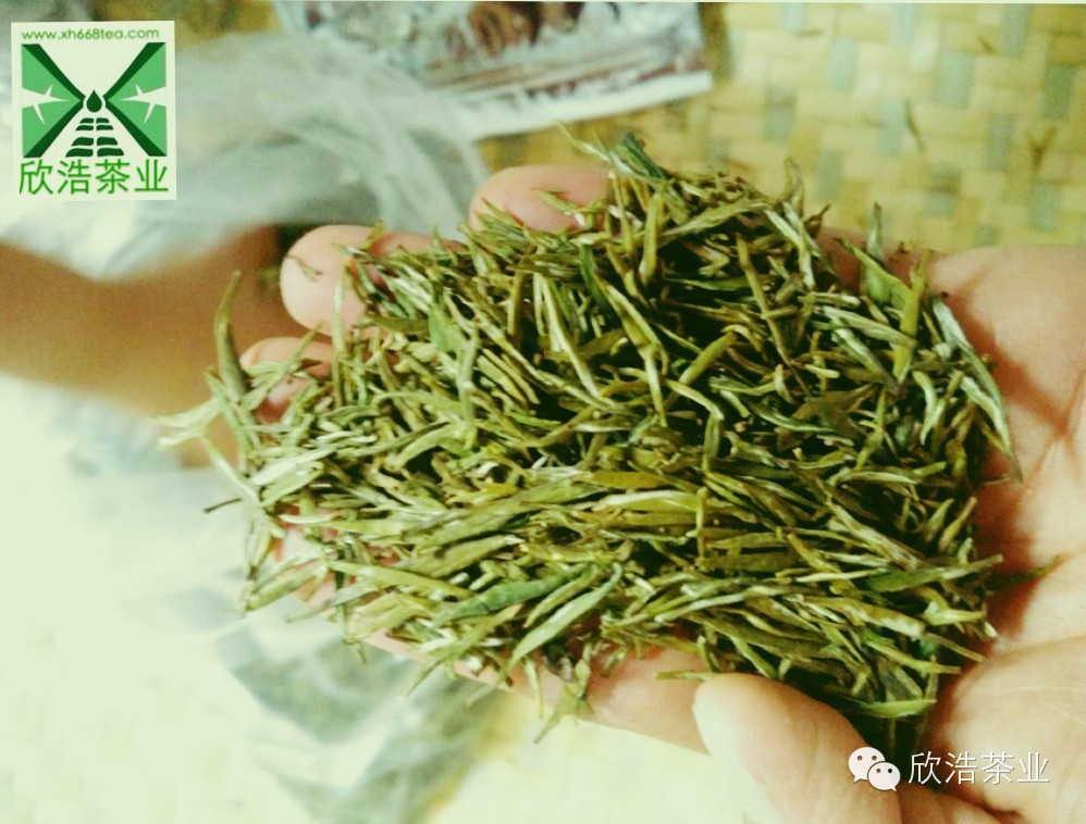 贵州省是中国最适宜种茶区域之一，是优质绿茶白茶的重要产地。