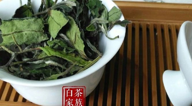 白茶储存指南：“茶农存茶法”特别靠谱！