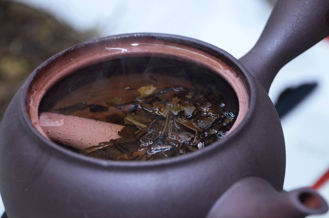 煮白茶，是冬天最温暖的打开方式