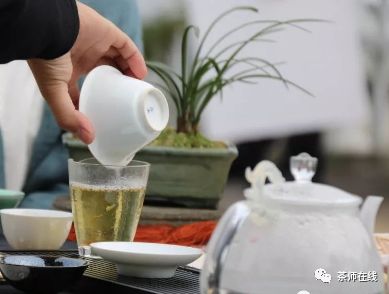 白茶，盖碗泡法