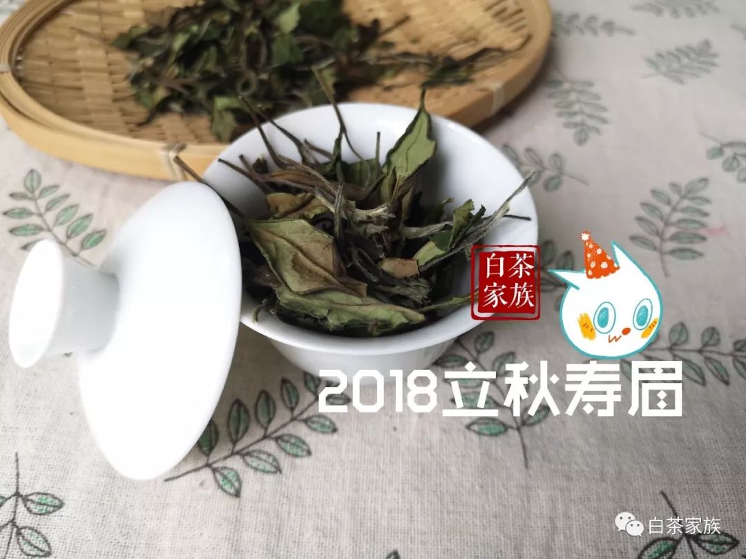 春节喝白茶，疏忽这一点，全年无用功！