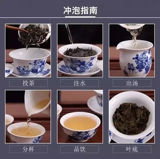 教你这样泡白茶，你也会是泡茶高手！