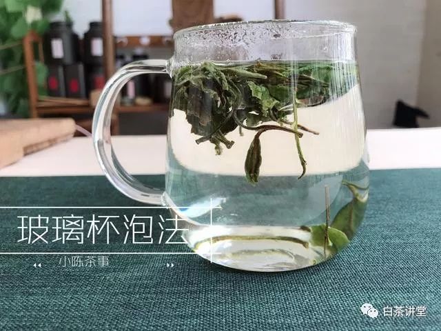 冲泡白茶，盖碗、玻璃杯、煮茶，不同的工具茶水比例该怎么控制？