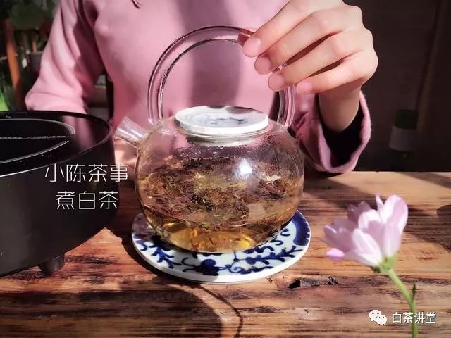 白茶饼怎么煮？这三要素占主导作用，水温、投茶量、煮茶时间！