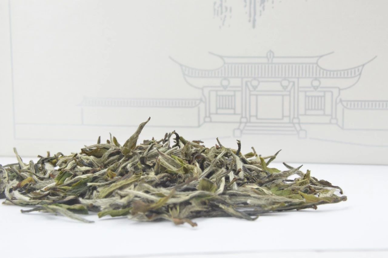 大会指定白茶丨再续品质，限量发售