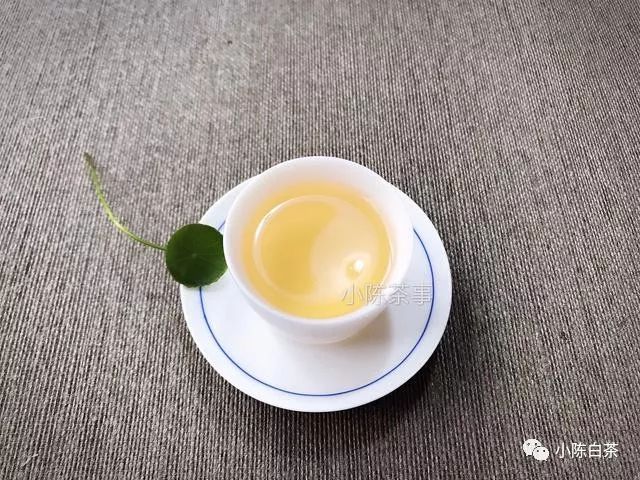经验之谈：如何挑选到一款好喝的白茶，记住这些指标！